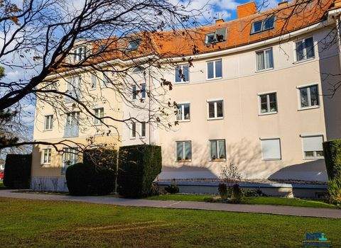 Baden Wohnungen, Baden Wohnung kaufen