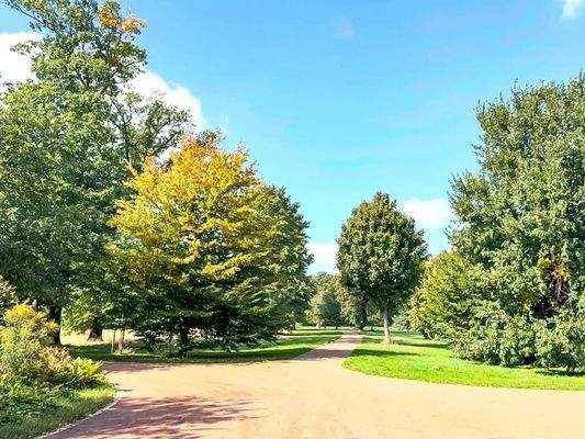 Zugang zum Stadtpark