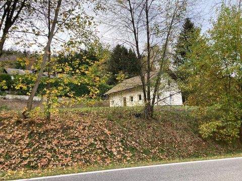 Neukirchen beim Heiligen Blut Häuser, Neukirchen beim Heiligen Blut Haus kaufen