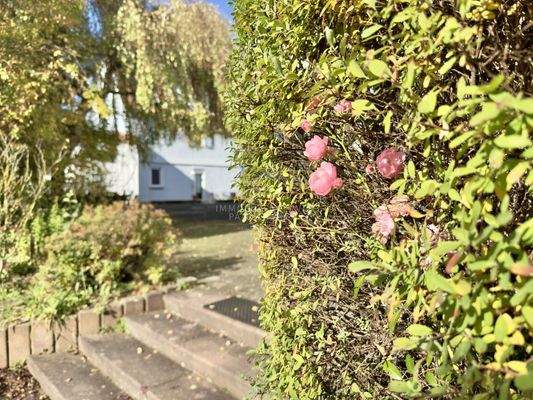 Die innere Ruhe finden