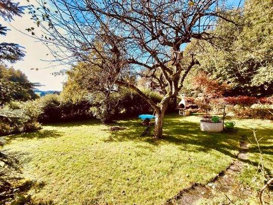 Brunnenschacht und Grillofen