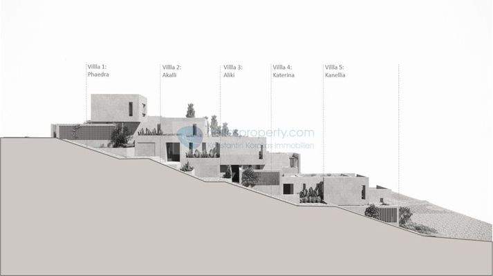 b232b5dce55244e78973d3809e877751-original