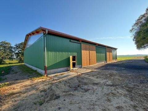 Seester Halle, Seester Hallenfläche