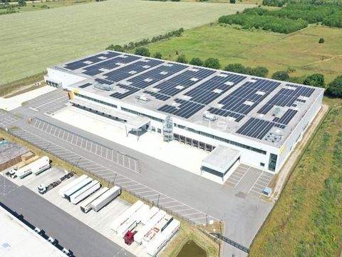 Mittenwalde Halle, Mittenwalde Hallenfläche