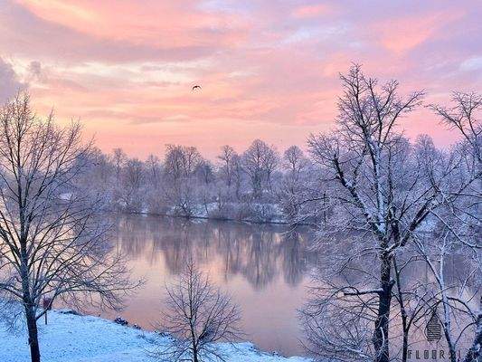 Balkonblick im Winter