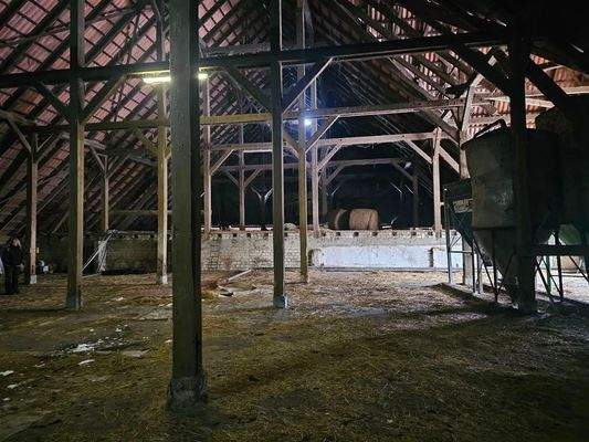 Kathedralen Dach Turm