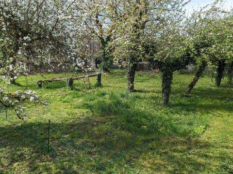 Gailingen Grundstücke, Gailingen Grundstück kaufen