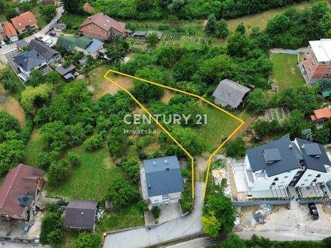 Gajnice Bauernhöfe, Landwirtschaft, Gajnice Forstwirtschaft