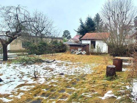 Zühlsdorf Grundstücke, Zühlsdorf Grundstück kaufen