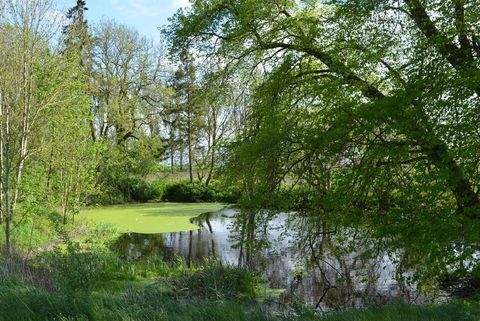 Marlow Grundstücke, Marlow Grundstück kaufen