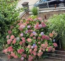 9ba85644-c6b6-4ffd-a211-1082043a4c04-1935312304.jp