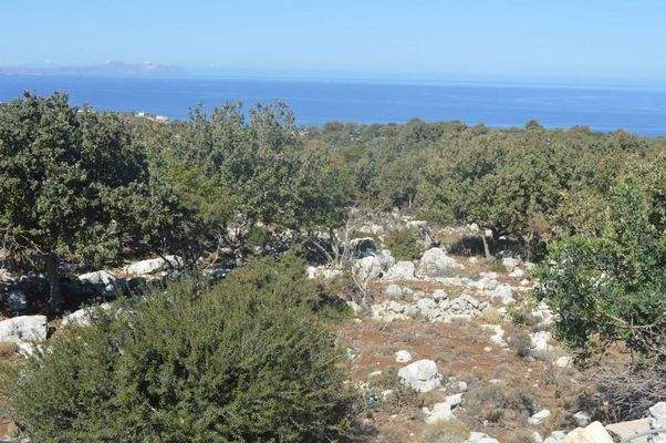 Kreta, Prines: Grundstück mit herrlichem Meerblick in Prines