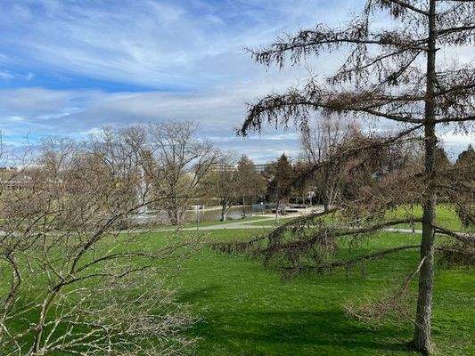 fantastischer Ausblick direkt zum Park!