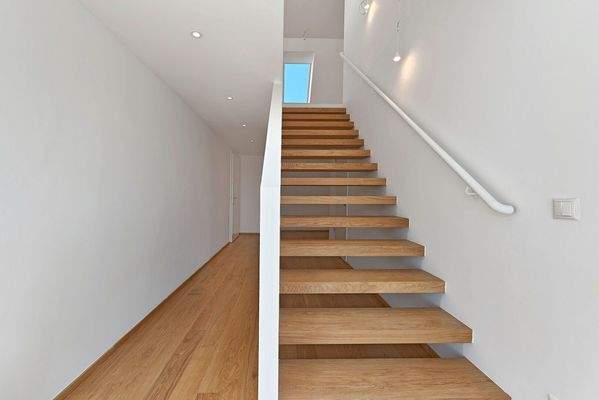 Schumanngasse | Stiegenaufgang