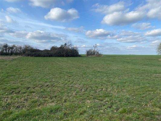 Blick Bauerwartungsland