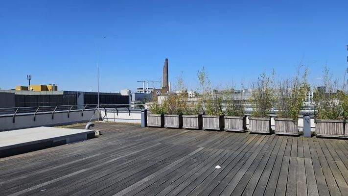 EV BS - Dachterrasse