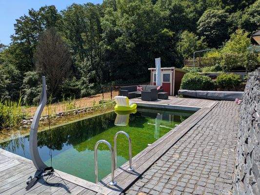 Schwimmteich