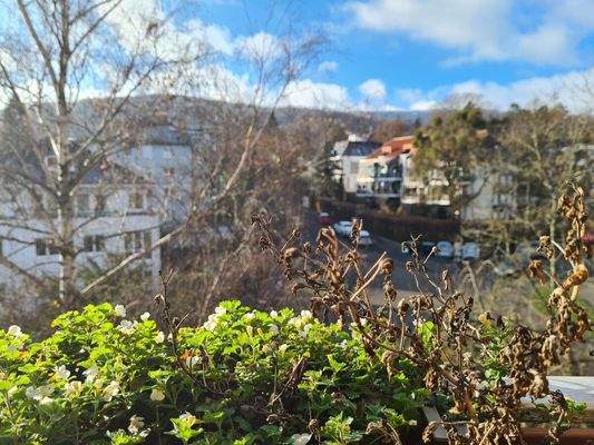 Blick von der Loggia