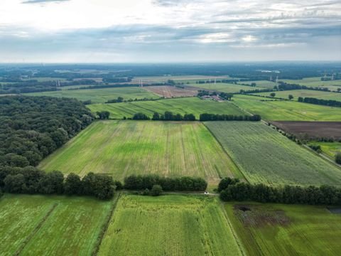 Samern Bauernhöfe, Landwirtschaft, Samern Forstwirtschaft