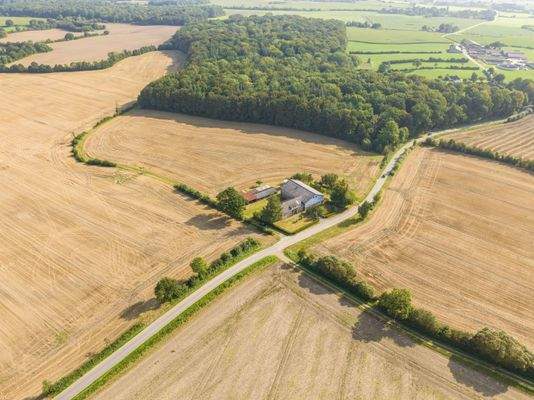 Luftaufnahme mit Reitwald