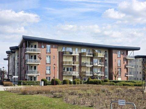 Rostock Wohnungen, Rostock Wohnung kaufen