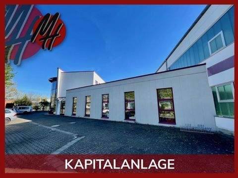 Bad Vilbel Halle, Bad Vilbel Hallenfläche