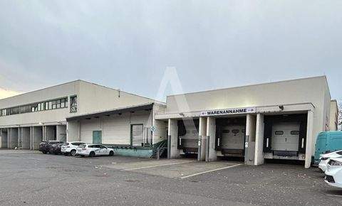 Alsdorf Halle, Alsdorf Hallenfläche