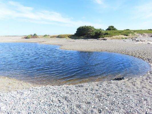 Cape Breton - Belfry Lake - Traumhaft schöne Lage 