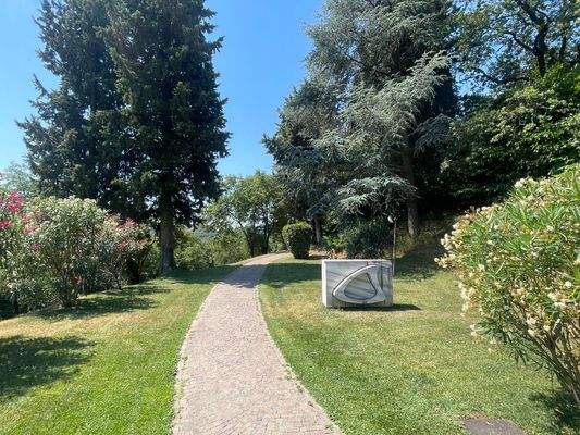 IMG_5052 (Grande).JPG