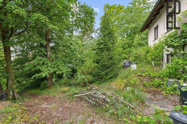 Grundstück mit Baumbestand