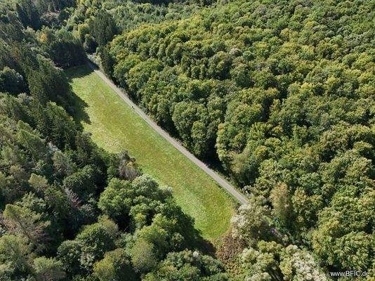 Potentielle Erweiterungsfläche