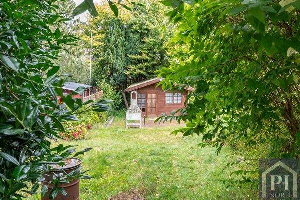 Eingewachsener Garten