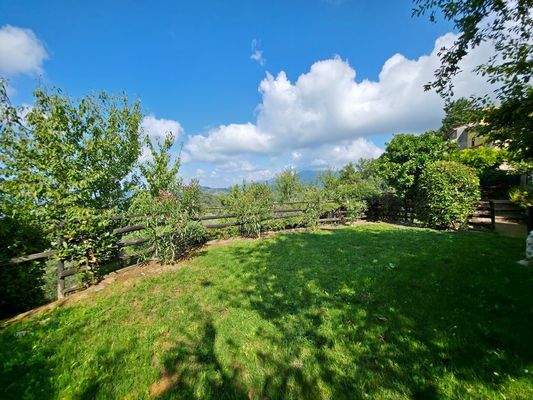 20250826_111411 - 1K JPEG.jpg