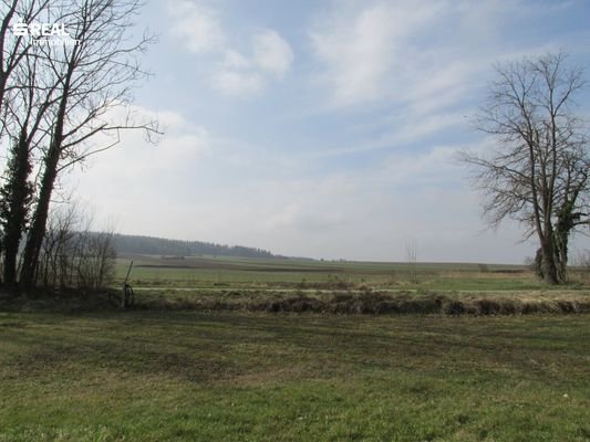Bild 19