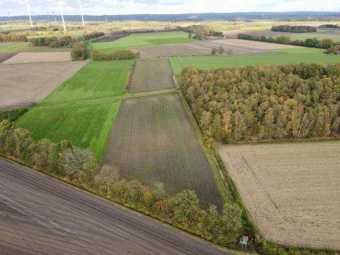 Voltlage / Höckel Bauernhöfe, Landwirtschaft, Voltlage / Höckel Forstwirtschaft