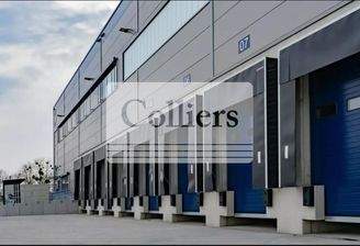 Aussenansicht Hallenneubau