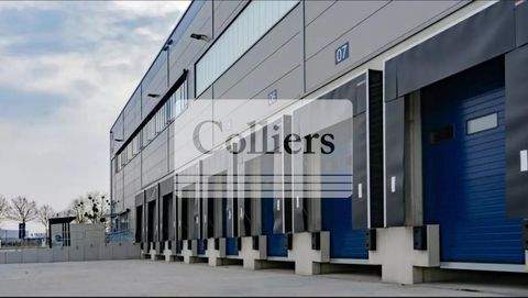 Herzfelde Halle, Herzfelde Hallenfläche