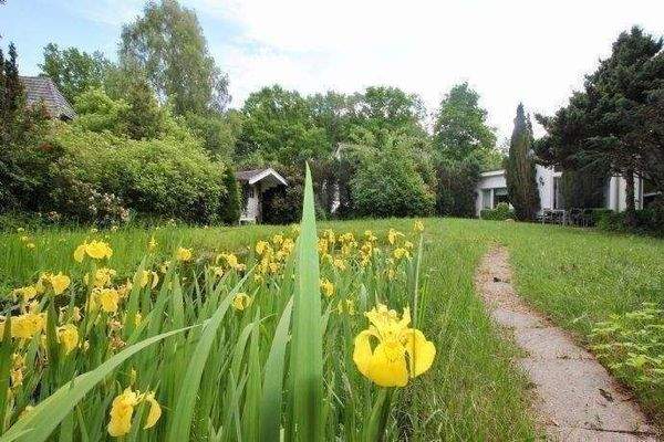 hinterer Gartenbereich