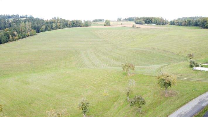 Nordaussicht inkl. Grundstücken