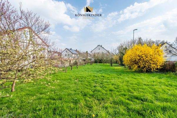 Garten bzw. Baugrundstück