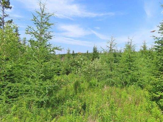 Cape Breton - Soldiers Cove - 32.000 m² großes Bau