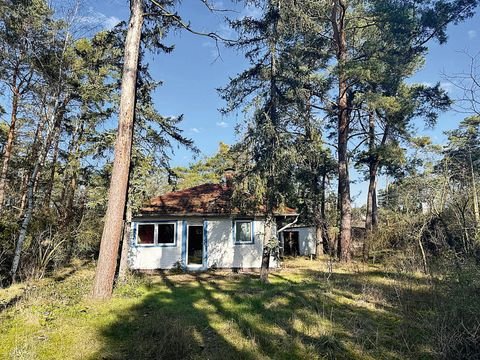 Am Mellensee Grundstücke, Am Mellensee Grundstück kaufen