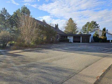 Ehingen Häuser, Ehingen Haus kaufen