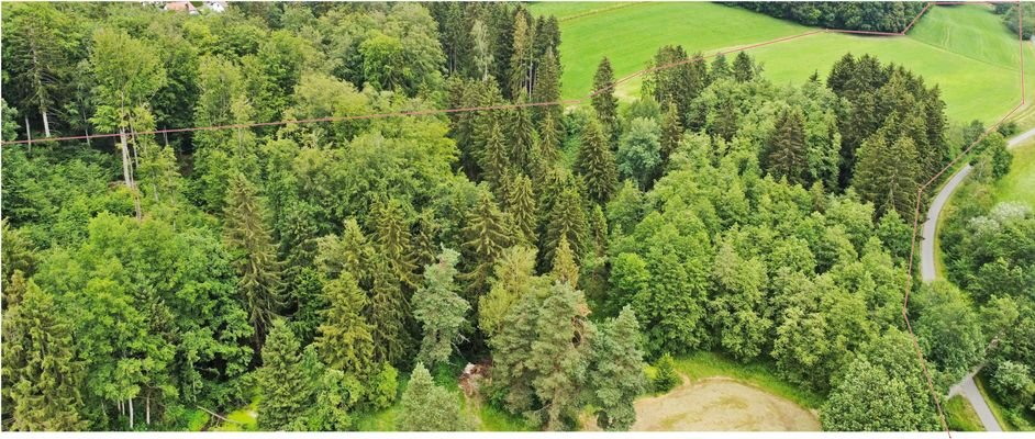 Luftbild Anwesen - Wald- und Wiesenfläche