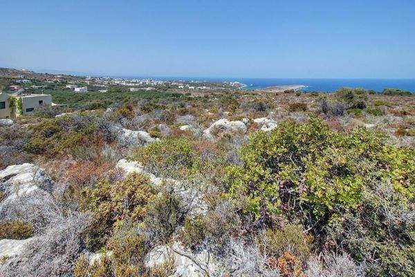 Kreta, Kalathas: Grundstück mit herrlichem Blick auf das Meer und die Weißen Berge zu verkaufen