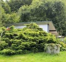 3d25793e-86e7-473c-994a-7ef9bac4e610-1935312336.jp