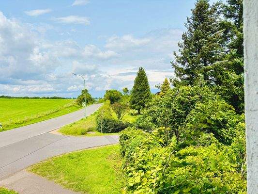 großzügiges Grundstück