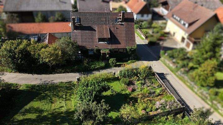 Rückseite des Hauses mit Garten