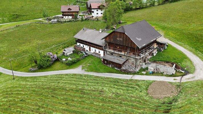 Hof_Antholz_Wald_Alpenwiese_ruhig_Natur_Dolomiten_Südtirol