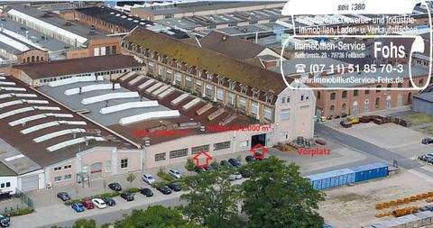 Mannheim Halle, Mannheim Hallenfläche